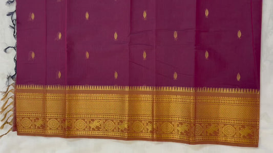Kanchi cotton saree with Zari pallu and border