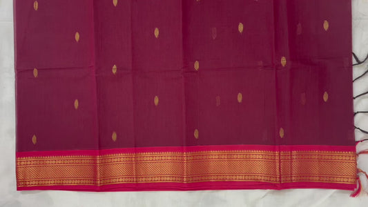 Kanchi cotton saree with Zari pallu and border